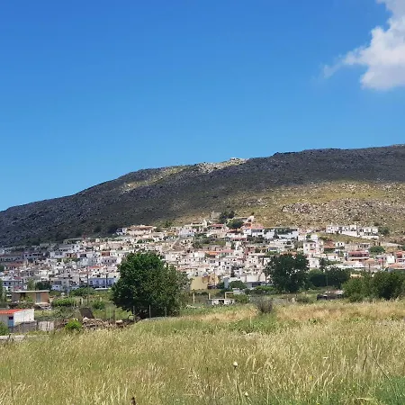 Villa Daniela & Apartments Koutsounari Dış mekan fotoğraf