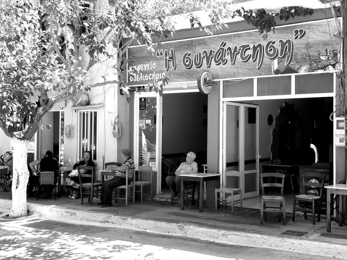 Daniela & Apartment Koutsounari
